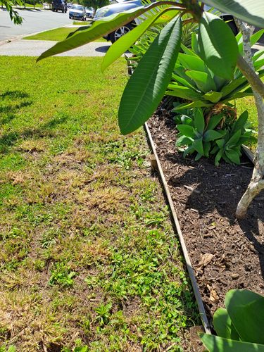 1000014039.jpg 1000014039.jpg