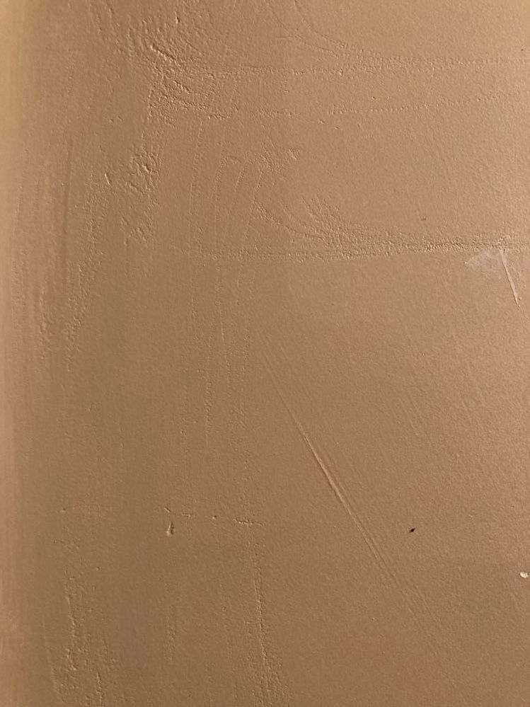 441897872_773903338139101_5242210053574521081_n.jpg 441897872_773903338139101_5242210053574521081_n.jpg