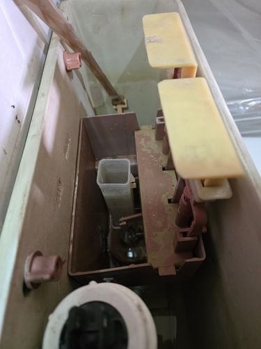 1000061144.jpg 1000061144.jpg