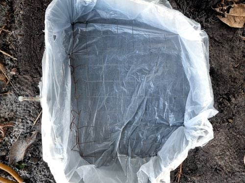 1000019215.jpg 1000019215.jpg