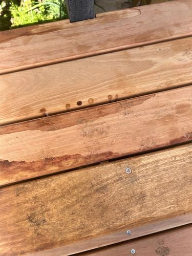 IMG_1760.jpeg IMG_1760.jpeg