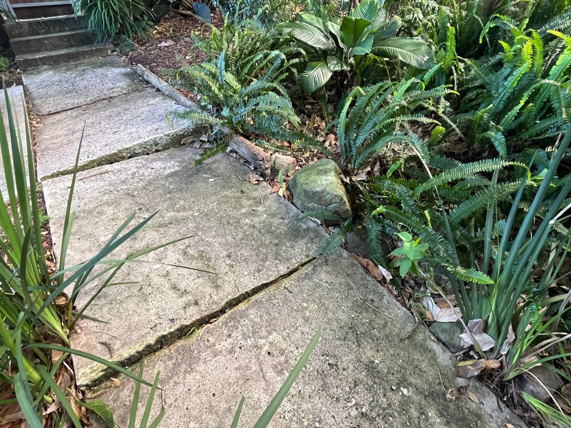 IMG_2495.jpeg IMG_2495.jpeg