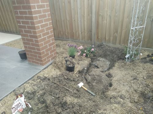 IMG20201219154514.jpg IMG20201219154514.jpg