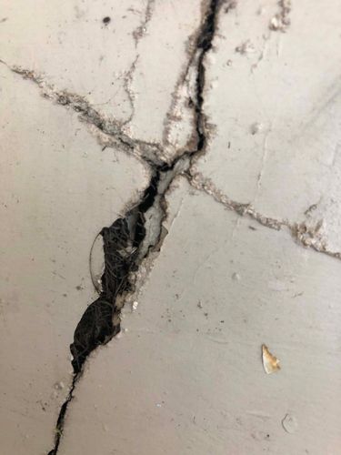 IMG_3382.jpeg IMG_3382.jpeg