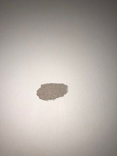 IMG_4876 Small.jpeg IMG_4876 Small.jpeg