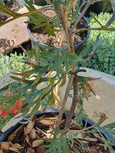 20240927_104624.jpg 20240927_104624.jpg