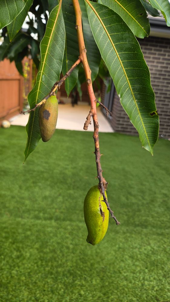 20251112_151945.jpg 20251112_151945.jpg