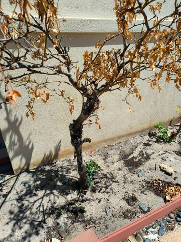 IMG20231130100738.jpg IMG20231130100738.jpg