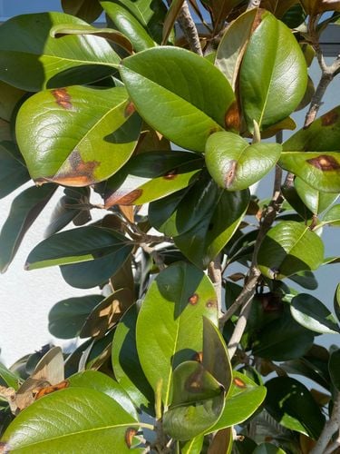 IMG_4209.jpeg IMG_4209.jpeg