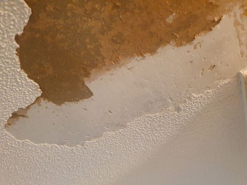 20210612_155512.jpg 20210612_155512.jpg