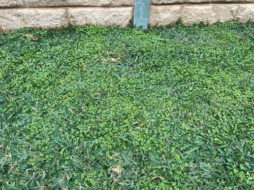 IMG_7228.jpeg IMG_7228.jpeg