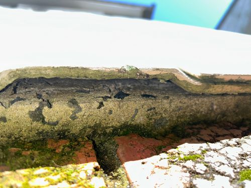 1000032383.jpg 1000032383.jpg