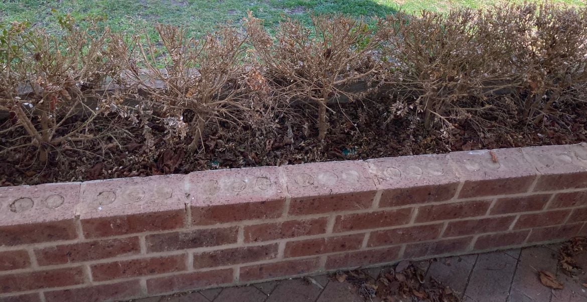 IMG_6537.jpeg IMG_6537.jpeg