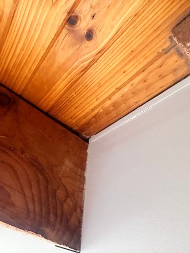 IMG_5996.jpeg IMG_5996.jpeg