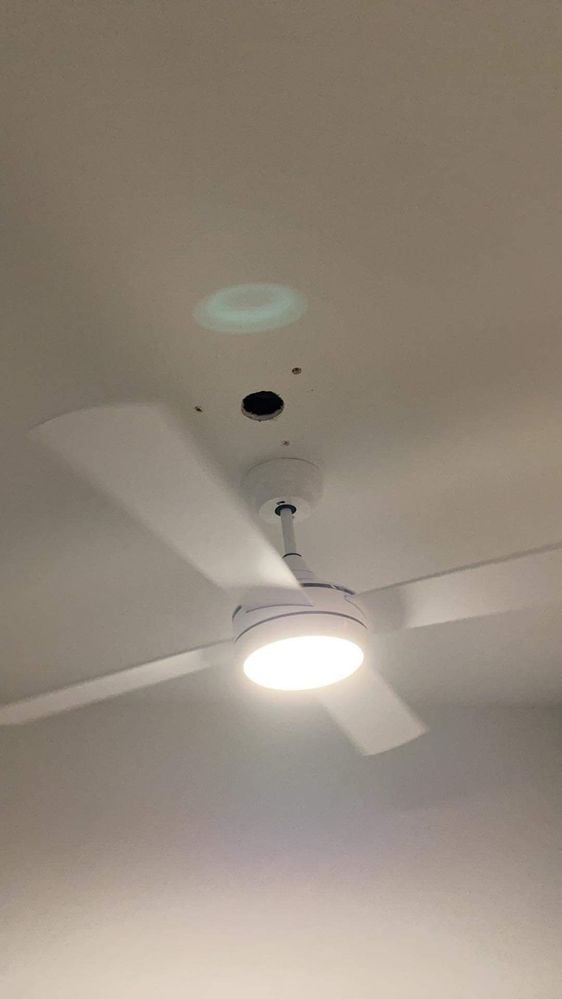 IMG_9904.JPG IMG_9904.JPG