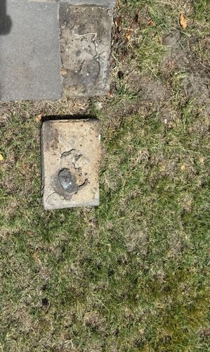 3cd1cdd6-823f-4c26-92bd-7340ff5da461.jpg 3cd1cdd6-823f-4c26-92bd-7340ff5da461.jpg