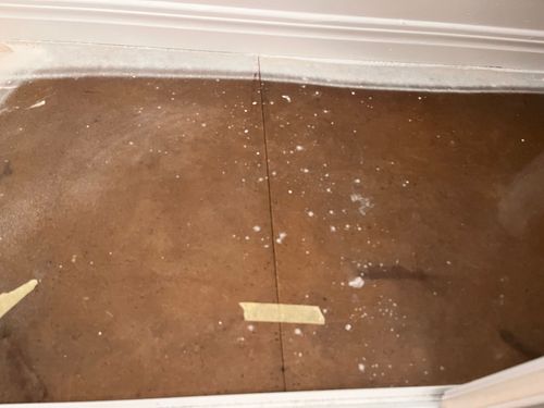 IMG_1250.jpeg IMG_1250.jpeg