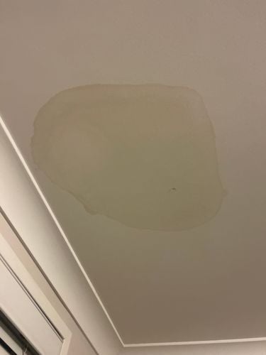 IMG_3730.jpeg IMG_3730.jpeg