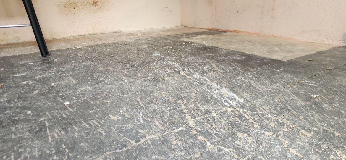 20250202_121435.jpg 20250202_121435.jpg