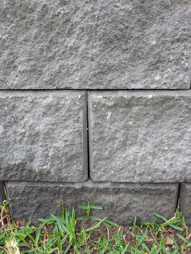 1000035556.jpg 1000035556.jpg