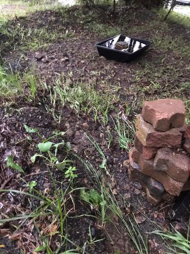 03 06-04-2024.jpg 03 06-04-2024.jpg