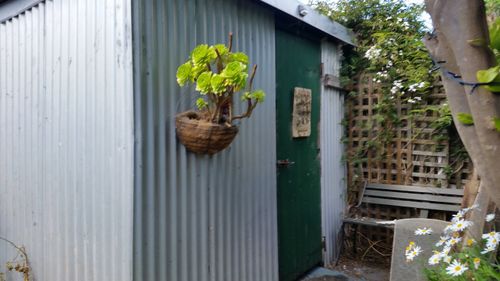 20201105_112030.jpg 20201105_112030.jpg