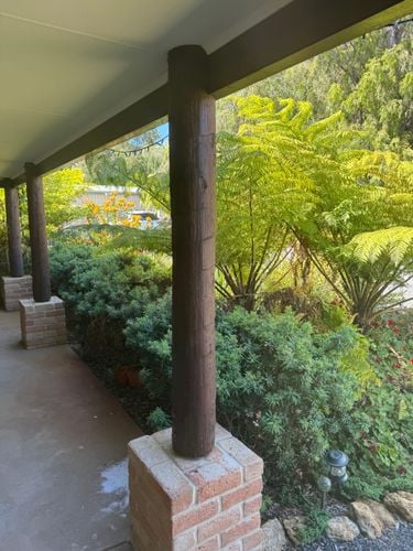 IMG_8221.jpeg IMG_8221.jpeg