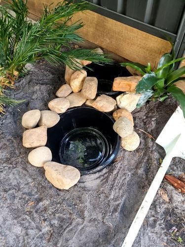 RobP_2-1721300842446.jpeg RobP_2-1721300842446.jpeg