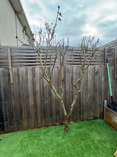 IMG_4544.jpeg IMG_4544.jpeg