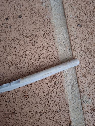 1000002931.jpg 1000002931.jpg