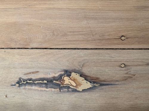 E7EADE09-466C-48E4-BC98-96479A04EB98.jpeg E7EADE09-466C-48E4-BC98-96479A04EB98.jpeg