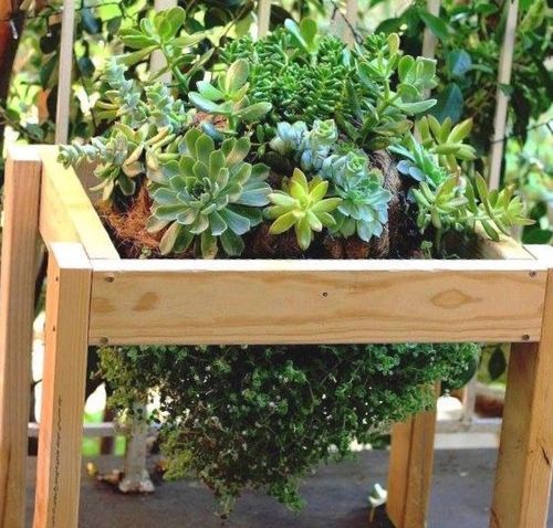 D0FF78F2-37BD-448B-9573-A51924700014.jpeg D0FF78F2-37BD-448B-9573-A51924700014.jpeg