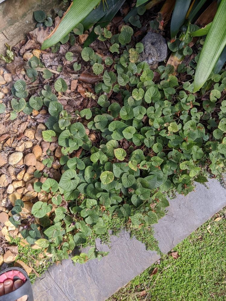 PXL_20220204_232741318.jpg PXL_20220204_232741318.jpg