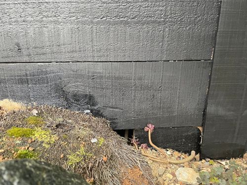 IMG_3347.jpeg IMG_3347.jpeg