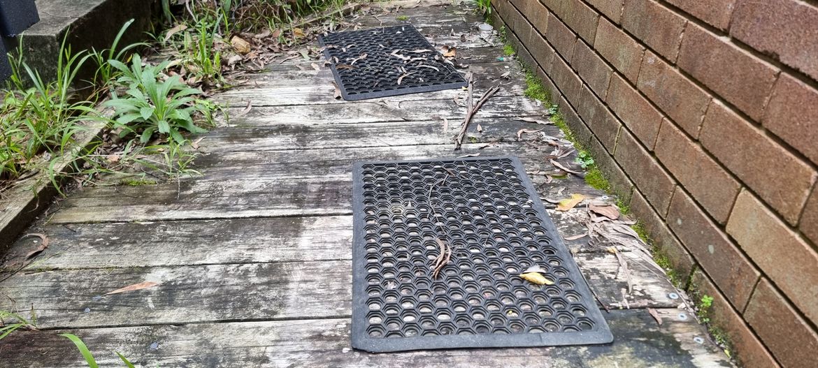 20250529_101155.jpg 20250529_101155.jpg