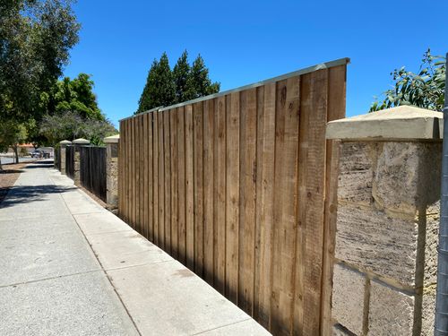 IMG_3862.jpeg IMG_3862.jpeg