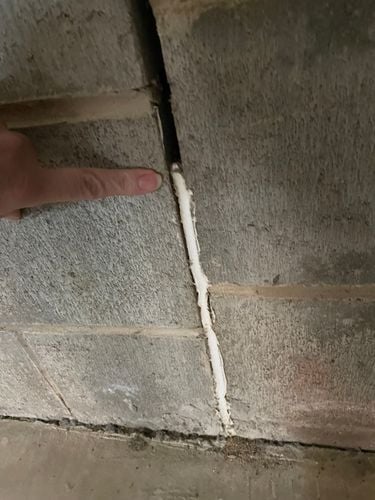 IMG_0055.jpeg IMG_0055.jpeg