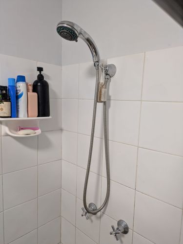 PXL_20251116_084342427.jpg PXL_20251116_084342427.jpg