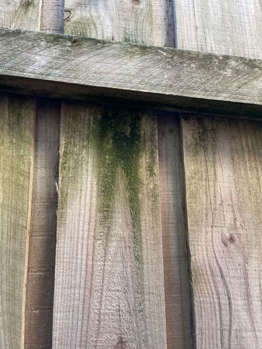 IMG_3064.jpeg IMG_3064.jpeg