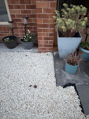 IMG_1279.jpeg IMG_1279.jpeg