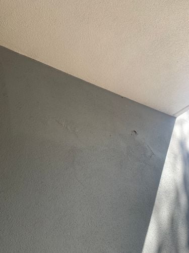 IMG_3310.jpeg IMG_3310.jpeg