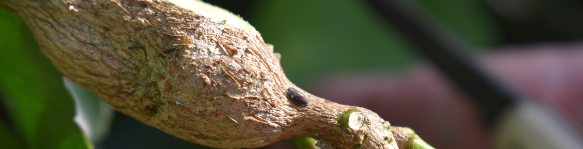 Hero 1.png Hero 1.png