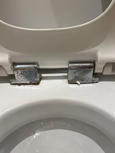 IMG_0457.jpeg IMG_0457.jpeg