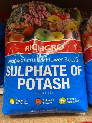 65028C72-7282-406E-82A6-9011FC176465.jpeg 65028C72-7282-406E-82A6-9011FC176465.jpeg