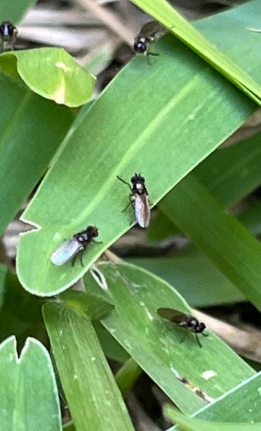 IMG_2403.jpg IMG_2403.jpg