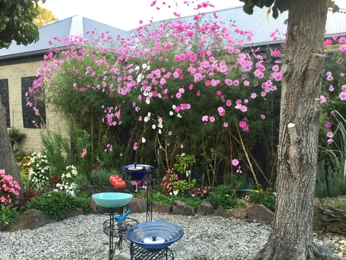 AF815372-D12C-4A34-9F9F-3647256F0657.jpeg AF815372-D12C-4A34-9F9F-3647256F0657.jpeg