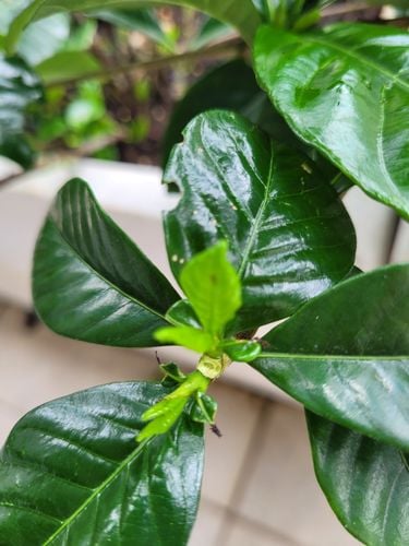 20241201_100401.jpg 20241201_100401.jpg