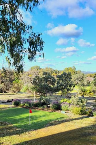 20251015_165625(1).jpg 20251015_165625(1).jpg