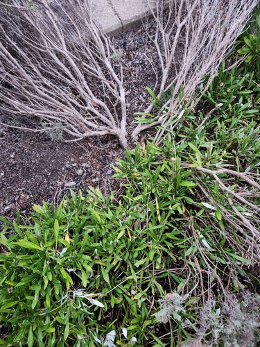 20250218_201745.jpg 20250218_201745.jpg