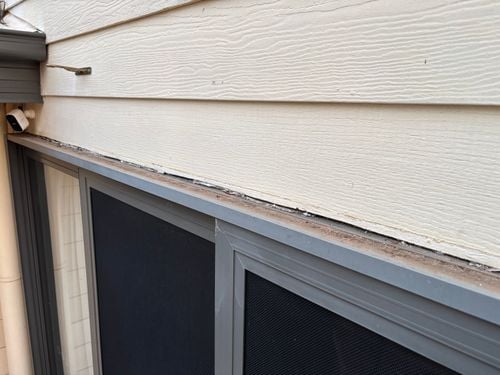 IMG_3273.jpeg IMG_3273.jpeg